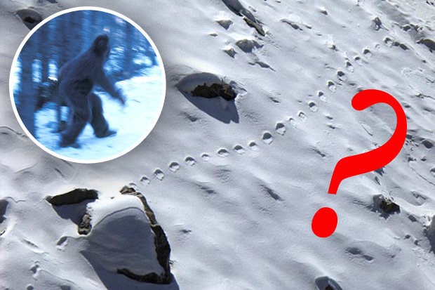 The Myth And Mystery Surrounding The Elusive Yeti Of Bhutan