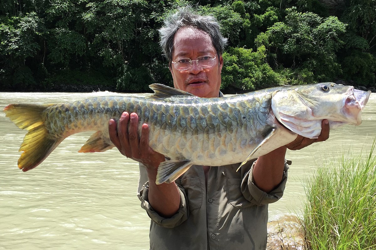 Book On ‘Fishes Of Bhutan’ Slated To Be Published