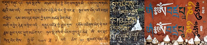 dzongkha essay about friends