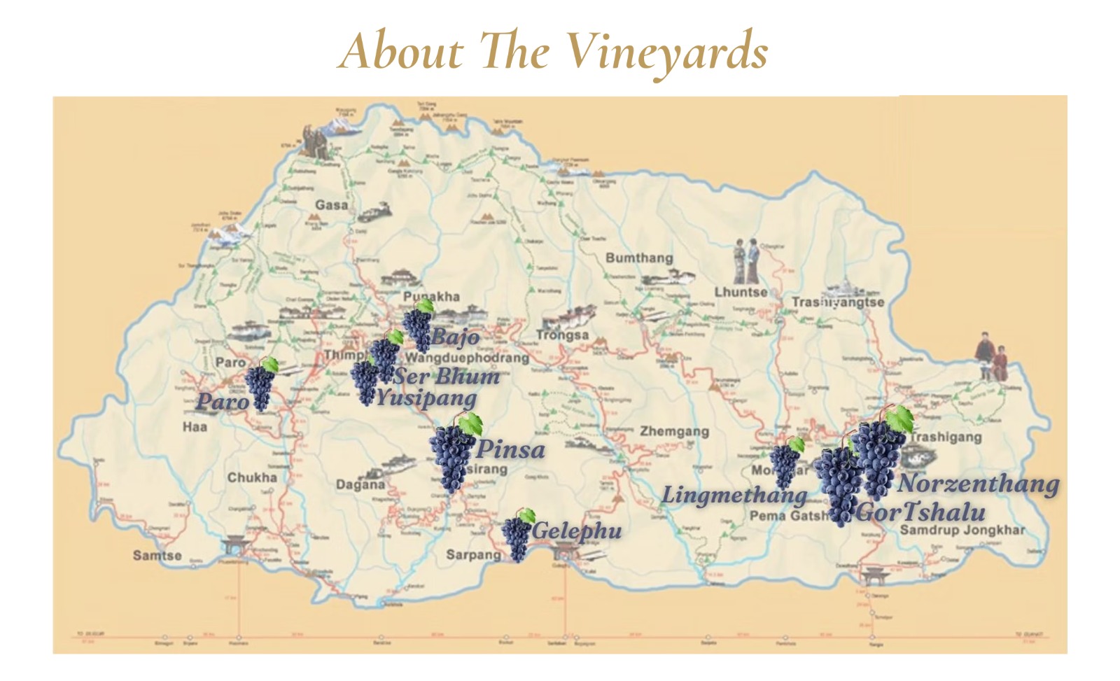 bhutan wine company vineyard