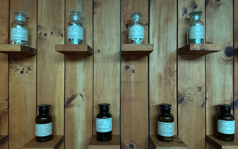 medicinal herbs bhutan spirit sanctuary