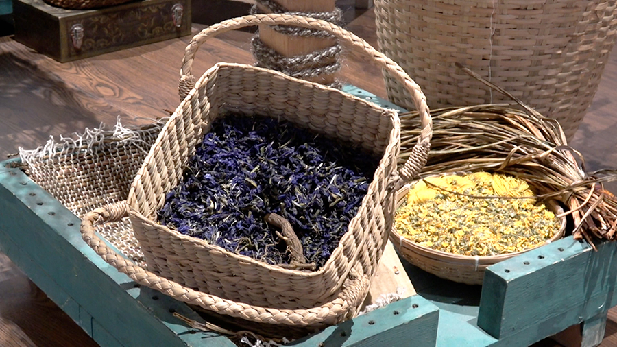 launch of himalayan iris crafts collection