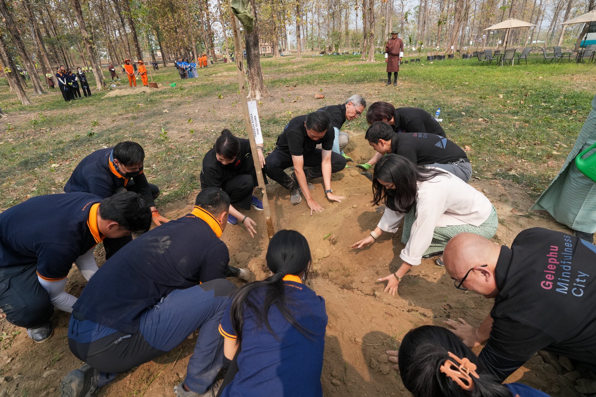 planting of 108 trees in gmc