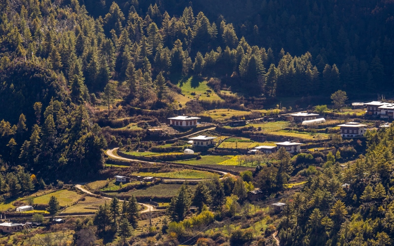 Haa Valley: Bhutan’s Best-Kept Secret Recognised Among Top 25 Global Destinations for 2025